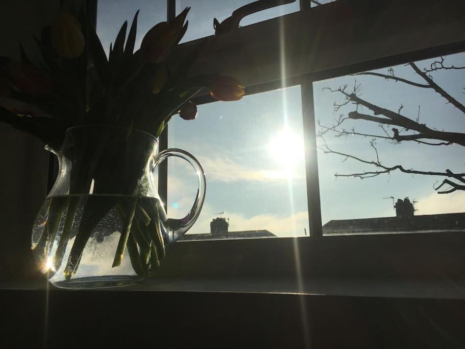 Brighton Boutique Garden Studio With Free Parking エクステリア 写真