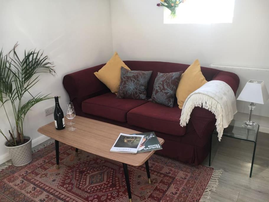 Brighton Boutique Garden Studio With Free Parking エクステリア 写真